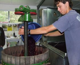 Fern Gully Winery - Accommodation Melbourne 0