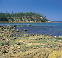 Aslings Beach - Accommodation Melbourne