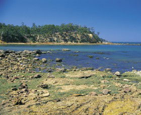 Aslings Beach - Accommodation Melbourne 0