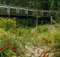 Eurobodalla Botanic Gardens - Accommodation Melbourne