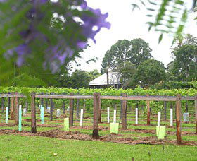 Douglas Vale Historic Homestead & Vineyard - Accommodation Melbourne 0