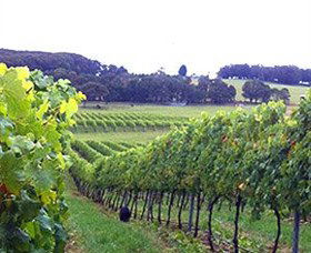 Exeter NSW Accommodation Melbourne