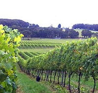 Banjo's Run Winery and Vineyard - Accommodation Melbourne