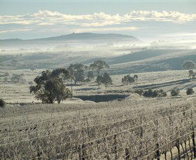 Kurrajong Downs Wines Vineyard - Accommodation Melbourne 1