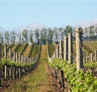 Philip Shaw Wines - Accommodation Melbourne