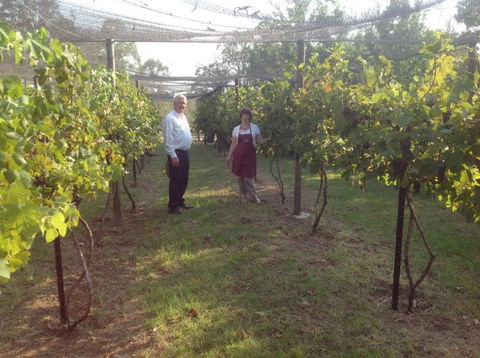 Holland Wines - Accommodation Melbourne 8