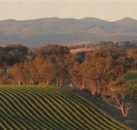 Angullong Wines - Accommodation Melbourne
