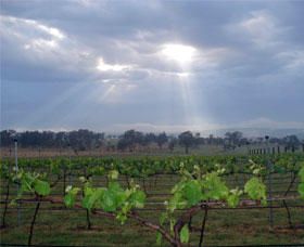 Thunder Ridge Wines - Accommodation Melbourne 1