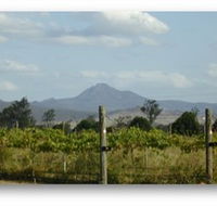 Ironbark Ridge Vineyard - Accommodation Melbourne