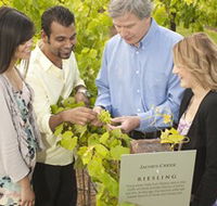 Jacob's Creek Vineyard Tour - Accommodation Melbourne