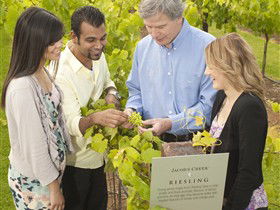 Jacob's Creek Vineyard Tour - Accommodation Melbourne 0