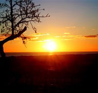Rocky Ridge Vineyard and Cellar Door - Accommodation Melbourne
