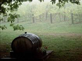 Arranmore Wines - Accommodation Melbourne 2