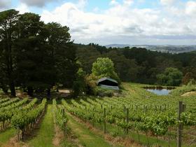 Arranmore Wines - Accommodation Melbourne 0