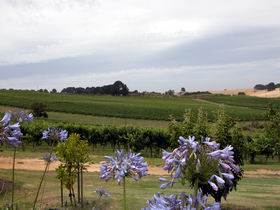 Mount Jagged Wines - Accommodation Melbourne 1