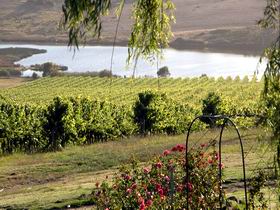 Mount Jagged Wines - Accommodation Melbourne 2