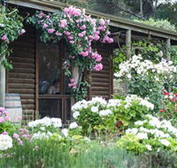 Lavina Wines - Accommodation Melbourne