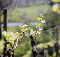 Mount Cole WineWorks - Accommodation Melbourne