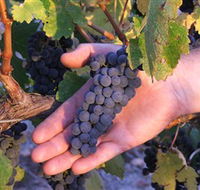 Eagles Rise Wine - Accommodation Melbourne