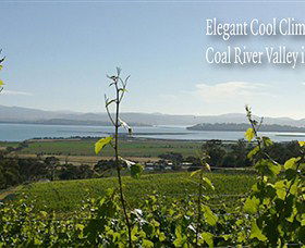 Coal Valley Vineyard - Accommodation Melbourne 5
