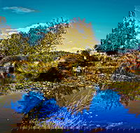 Loira Vines - Accommodation Melbourne