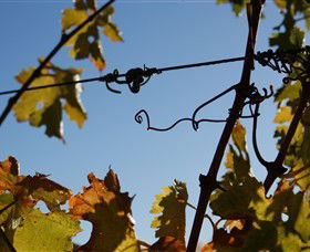 Blackjack Vineyards - Accommodation Melbourne 1