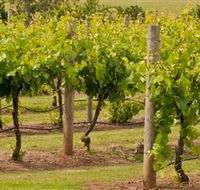 Mt Coghill Vineyard - Accommodation Melbourne