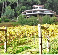 Peveril Vineyard/Beechy Berries - Accommodation Melbourne