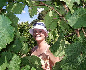 Harcourt Valley Vineyards - Accommodation Melbourne 5