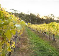 Harcourt Valley Vineyards - Accommodation Melbourne