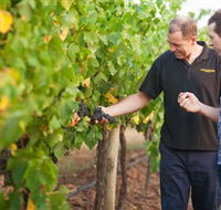 Fratin Brothers Vineyard - Accommodation Melbourne