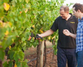 Fratin Brothers Vineyard - Accommodation Melbourne 0