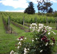Pembroke Estate Vineyard - Accommodation Melbourne