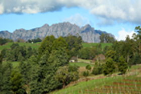 Lake Barrington Vineyard - Accommodation Melbourne 0