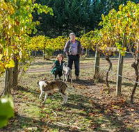Little River Wines of Taggerty - Accommodation Melbourne
