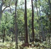 Cathedral Range State Park - Accommodation Melbourne