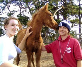 Bellarine Horse Riding Centre - Accommodation Melbourne 1