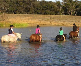Bellarine Horse Riding Centre - Accommodation Melbourne 2