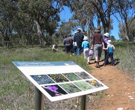 South Gundagai Woodlands Walk - Accommodation Melbourne 0