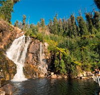 Steavenson Falls Marysville - Accommodation Melbourne
