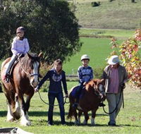 Bathurst Farm Experience - Accommodation Melbourne