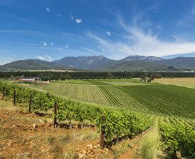 Feathertop Winery - Accommodation Melbourne 3