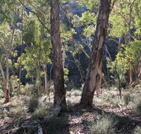 Mount Gray walking track - Accommodation Melbourne