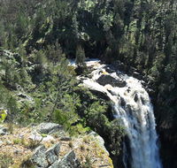 Grove Creek Falls walking track - Accommodation Melbourne