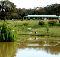 Clearview Alpacas - Accommodation Melbourne