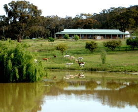 Clearview Alpacas - Accommodation Melbourne 0