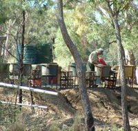 7 Oaks Sapphire Fossicking - Accommodation Melbourne