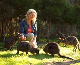 Pearcedale VIC Accommodation Melbourne
