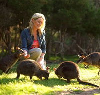 Moonlit Sanctuary Wildlife Conservation Park - Accommodation Melbourne