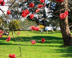 The Yass Golf Club - Accommodation Melbourne 0